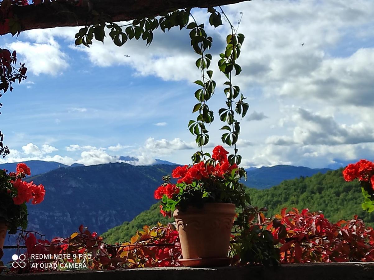 Casa Rural Vilaspasa, Alquiler Integro Gotarta Εξωτερικό φωτογραφία