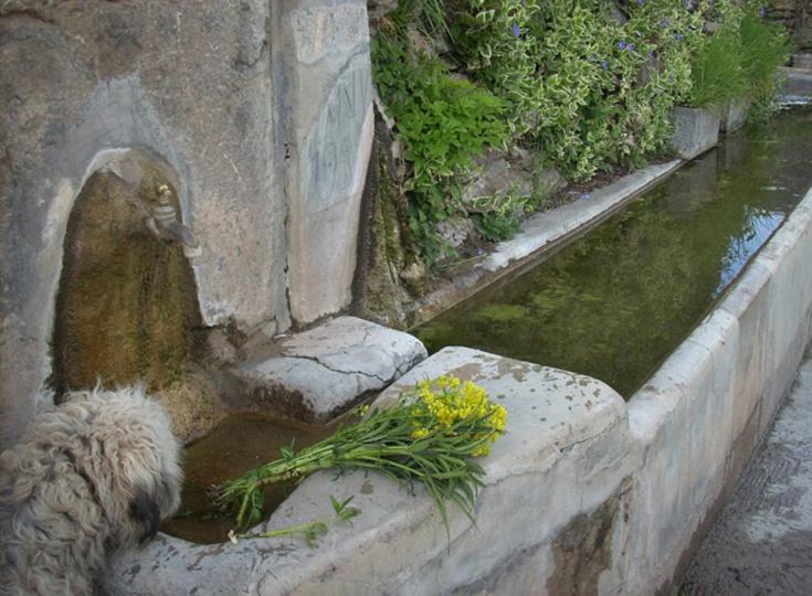 Casa Rural Vilaspasa, Alquiler Integro Gotarta Εξωτερικό φωτογραφία
